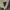 GAP Minimalist Casual Outerwear Kids blue photo 4