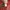H&M Casual Summer dress Wanita red photo 5