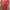 H&M Casual Summer dress Wanita red photo 3