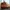 Timberland Sportswear Boots Pria brown photo 2