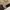 Ben Davis Vintage Streetwear Bomber jacket Pria brown photo 5
