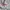 Supreme Streetwear Hoody Pria gray photo 5