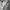 Supreme Streetwear Hoody Pria gray photo 7