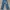 DogTown Y2K Skater Jeans Pria multicolor photo 1