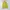 Japanese brand Vintage Casual Vest Wanita green yellow photo 5