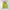 Japanese brand Vintage Casual Vest Wanita green yellow photo 1