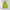 Japanese brand Vintage Casual Vest Wanita green yellow photo 2