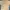 Uniqlo Minimalist Casual T-shirt Pria Tan