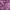 Indie Pencil Skirt Wanita Purple