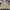 Carhartt Streetwear Casual Track jacket Pria tan photo 5