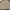 Carhartt Streetwear Casual Track jacket Pria tan photo 4