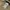 Carhartt Streetwear Casual Track jacket Pria tan photo 6