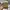 Gramicci Streetwear Casual Hat Pria tan photo 2