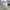 Polo Ralph Lauren Streetwear Sportswear Hat Pria Khaki Blue