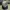 Polo Ralph Lauren Streetwear Sportswear Hat Pria khaki blue photo 5
