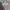 Japanese brand Streetwear Y2K T-shirt Pria red gray photo 1