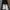 Adidas Sportswear Other Pria white black photo 4
