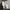 Adidas Sportswear Other Pria white black photo 3