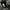 Adidas Sportswear Other Pria white black photo 5