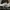Adidas Sportswear Other Pria white black photo 2
