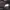 Oakley Biker Swimwear Pria black photo 5