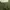 Casual High waisted jeans Wanita green photo 4
