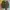 Japanese brand Streetwear Sportswear Hoody Pria green photo 2