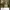 Japanese brand Streetwear Sportswear Hoody Pria green photo 4
