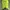 Minimalist Casual Blazer Wanita green yellow photo 3