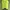 Minimalist Casual Blazer Wanita green yellow photo 1
