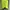 Minimalist Casual Blazer Wanita green yellow photo 2