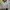 Red Wing Shoes Streetwear Y2K Hoody Pria cream tan photo 3