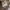 Red Wing Shoes Streetwear Y2K Hoody Pria cream tan photo 4