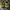 Sportswear Sneakers Wanita green yellow photo 8