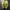 Sportswear Sneakers Wanita green yellow photo 2