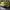 Sportswear Sneakers Wanita green yellow photo 7