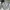 Patagonia Casual T-shirt Pria white photo 5