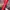 Adidas Casual Tracksuit Pria white red photo 3