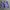 Stussy Streetwear Short Pria purple white photo 3