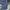 Giordano Casual Polo shirt Pria blue photo 1