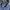 Giordano Casual Polo shirt Pria blue photo 2