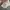 Y2K Casual Cami top Wanita cream photo 3