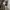 Y2K Casual Cami top Wanita cream photo 4