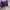 JW Anderson Luxury Casual Bags & purse Wanita purple photo 3