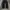 Vintage Casual Jeans Pria black photo 3