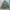Polo Ralph Lauren Casual Casual shirt Pria green photo 1