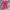 Roxy Vintage Y2K T-shirt Wanita pink photo 1