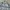 Burberry Casual Casual shirt Pria green gray photo 2