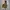 Uniqlo Casual Windbreaker Pria brown photo 1