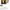 Y2K Indie Crop top Wanita yellow photo 4